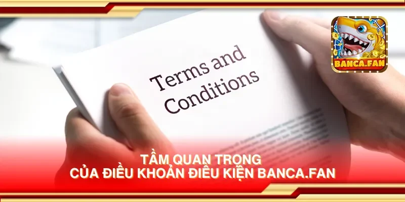 Tầm quan trọng của điều khoản điều kiện visuart.tv