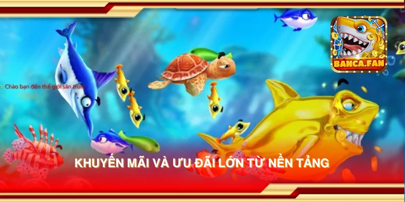 Khuyến mãi và ưu đãi lớn từ nền tảng